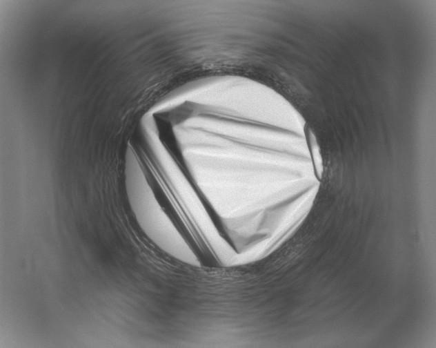 X0000062131012200512301456