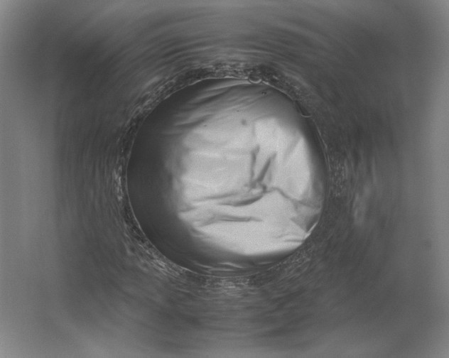 X0000062131013200512301456