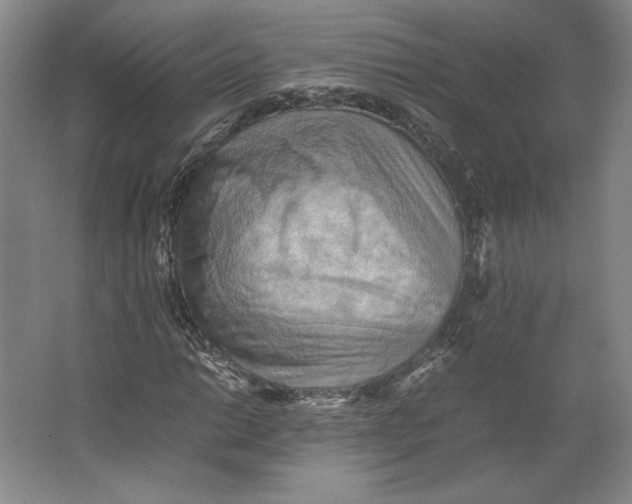 X0000062131014200512301456