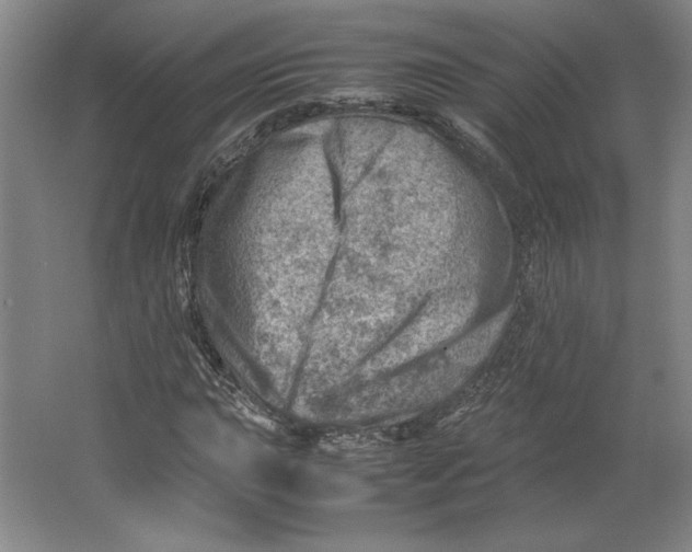 X0000062131015200512301456