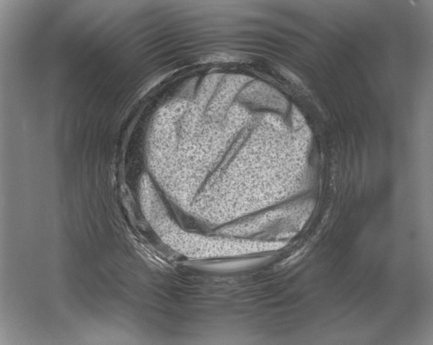 X0000062131017200512301456