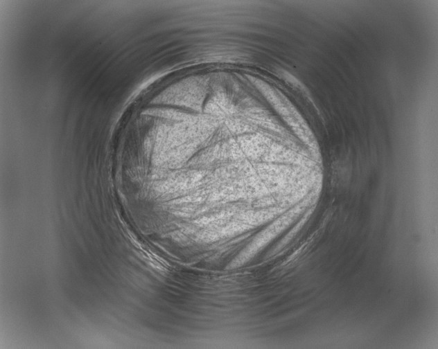 X0000062131019200512301456