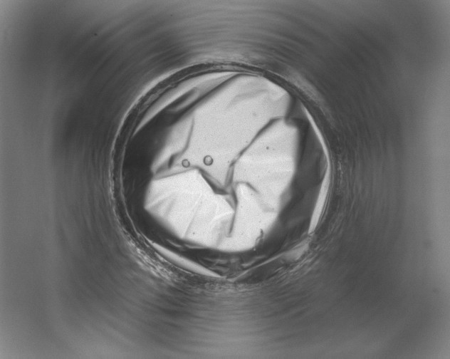 X0000062131020200512301456