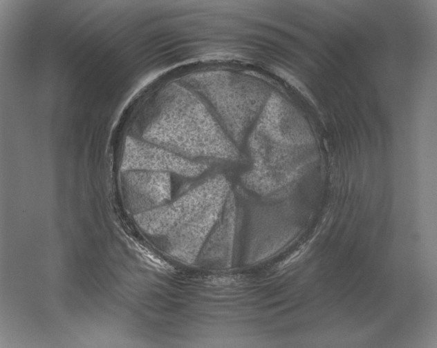 X0000062131021200512301456