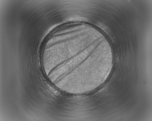 X0000062131022200512301456