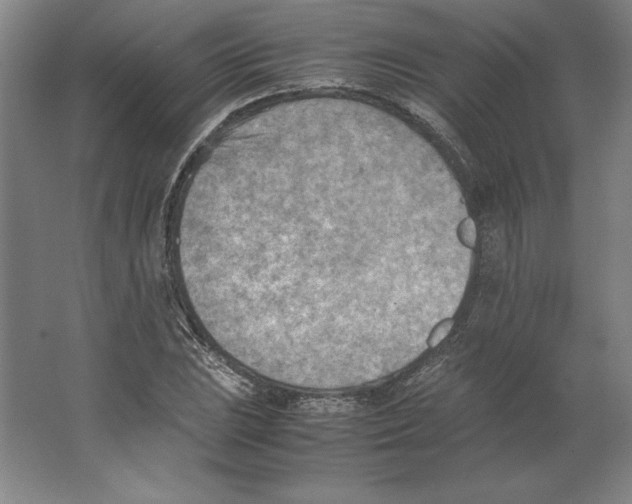 X0000062131023200512301456