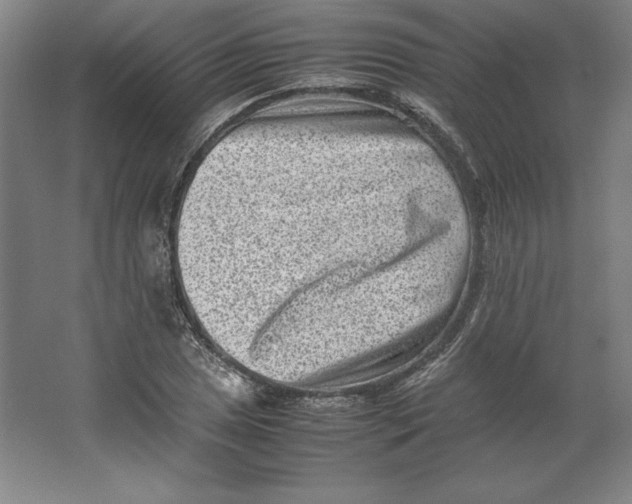 X0000062131025200512301456