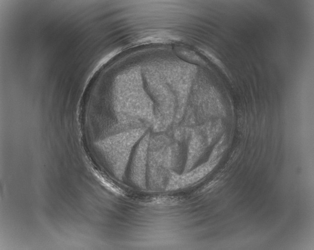 X0000062131026200512301456