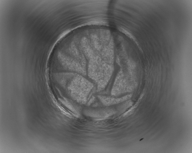 X0000062131029200512301456