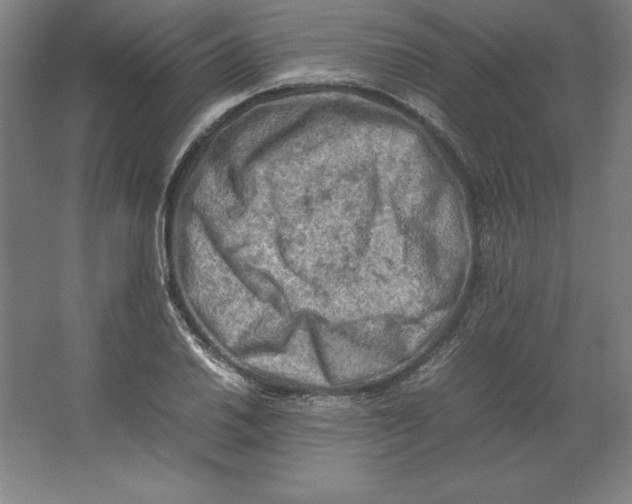 X0000062131030200512301456