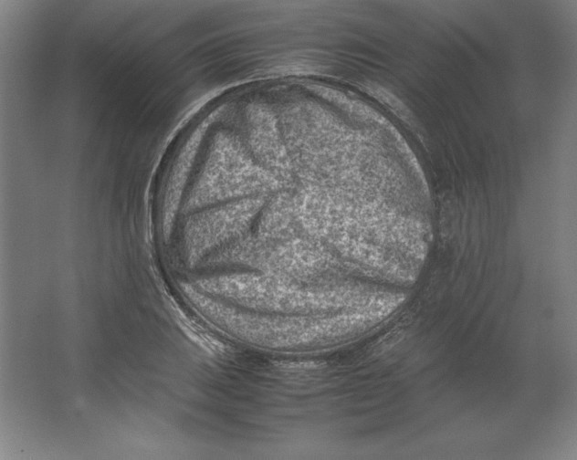 X0000062131031200512301456