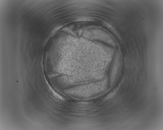 X0000062131033200512301456