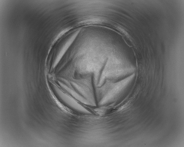 X0000062131034200512301456