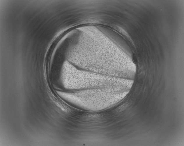 X0000062131035200512301456