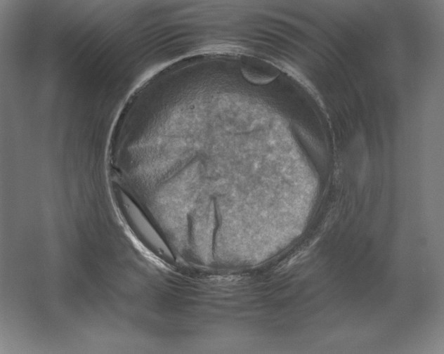 X0000062131037200512301456