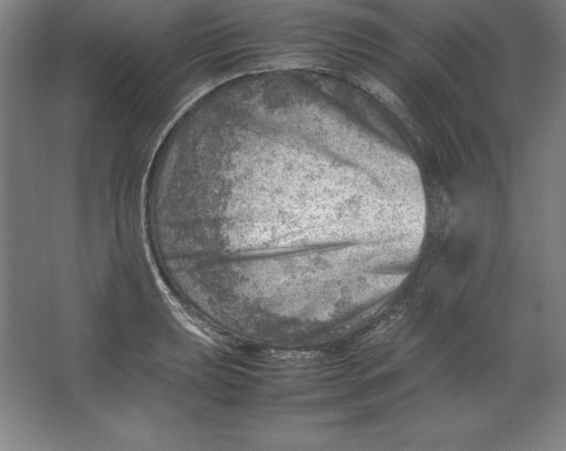 X0000062131039200512301456