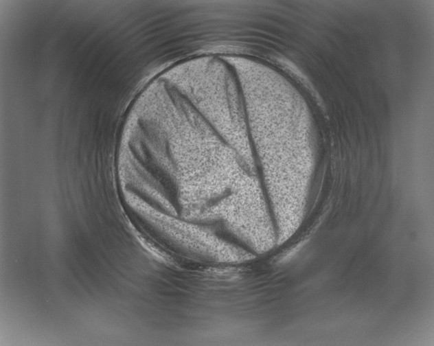 X0000062131041200512301456