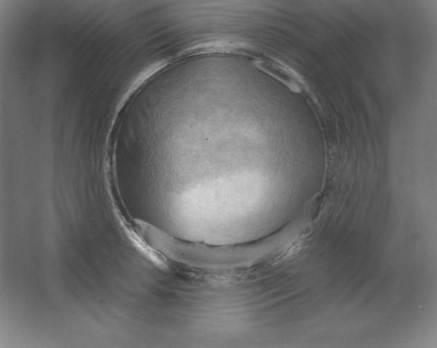 X0000062131042200512301456