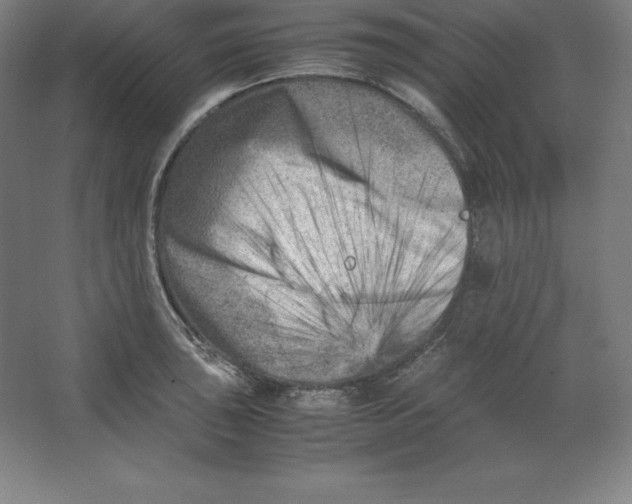 X0000062131043200512301456