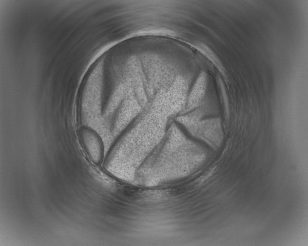 X0000062131044200512301456