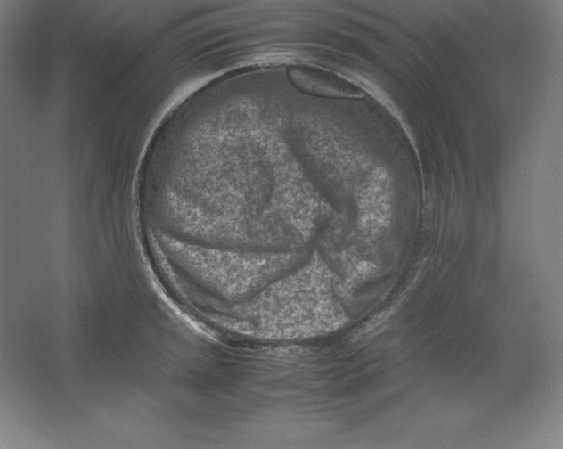 X0000062131045200512301456