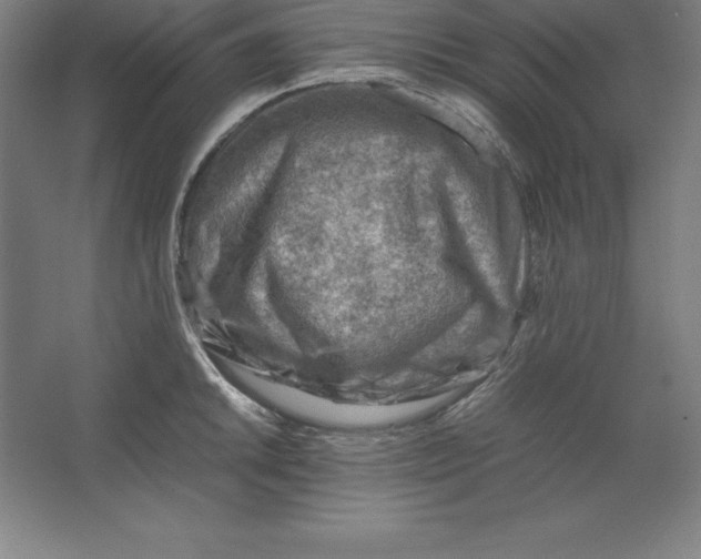 X0000062131046200512301456