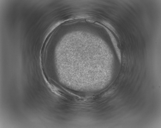 X0000062131047200512301456