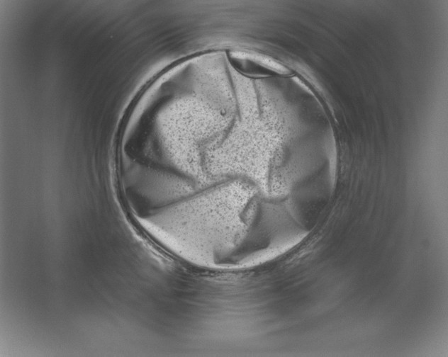 X0000062131048200512301456