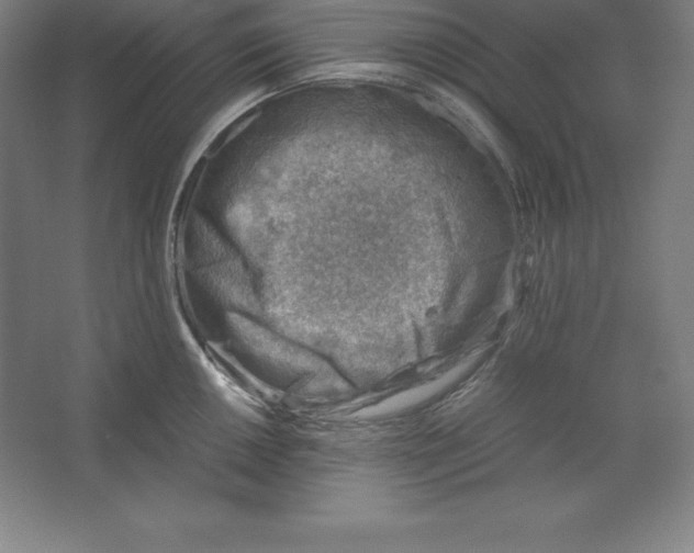 X0000062131050200512301456