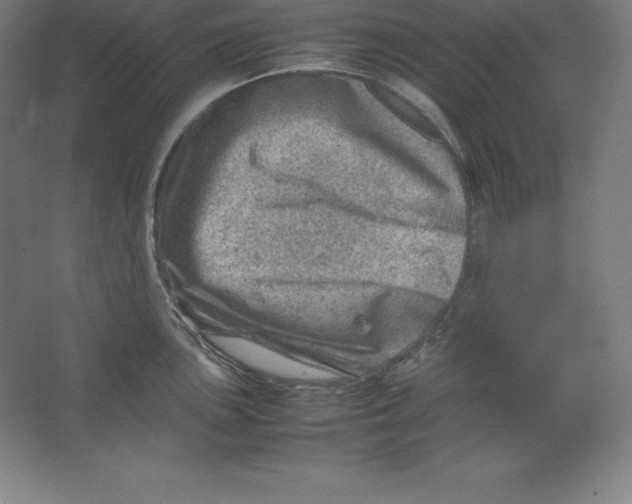 X0000062131051200512301456