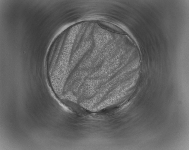 X0000062131053200512301456