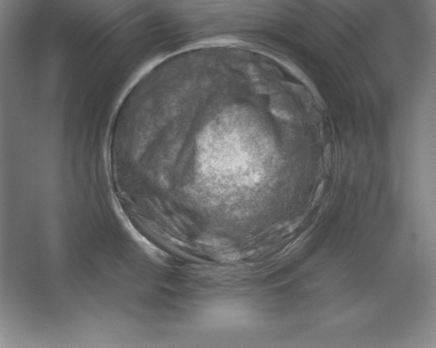 X0000062131054200512301456