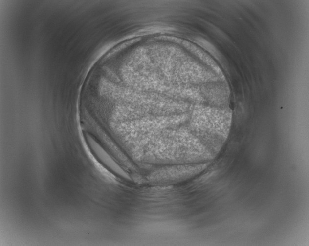 X0000062131055200512301456