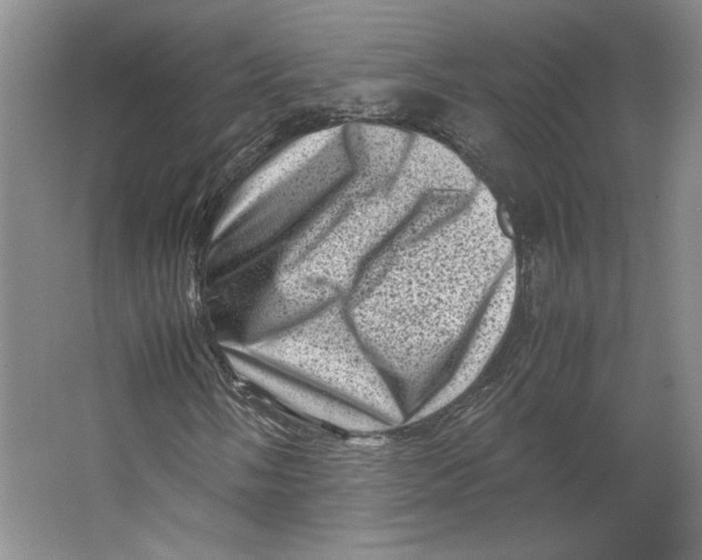 X0000062131058200512301455