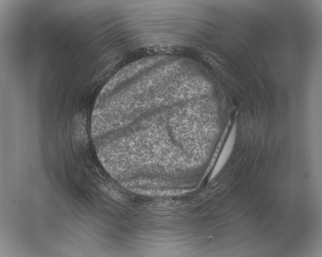 X0000062131060200512301455