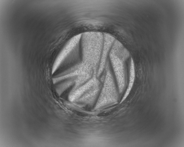 X0000062131061200512301455