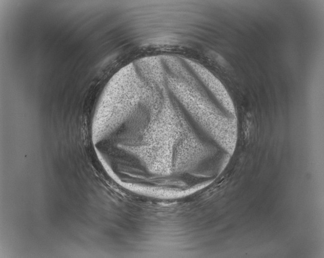 X0000062131062200512301455