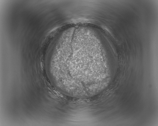 X0000062131063200512301455