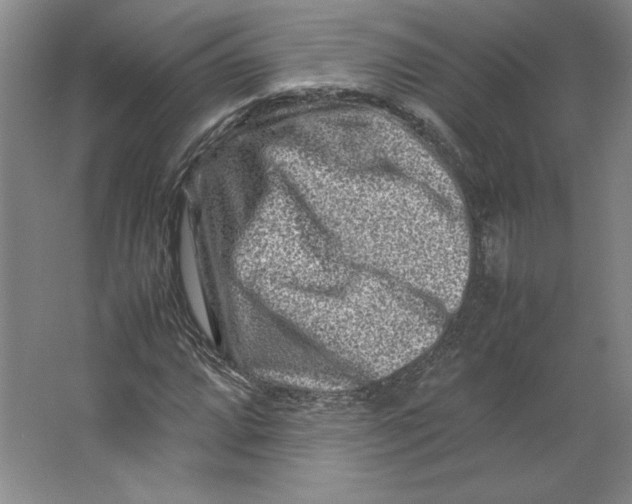 X0000062131064200512301455