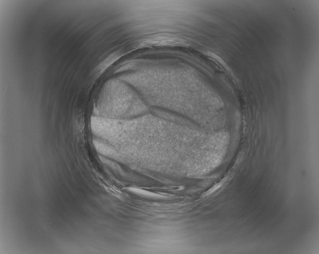 X0000062131065200512301455