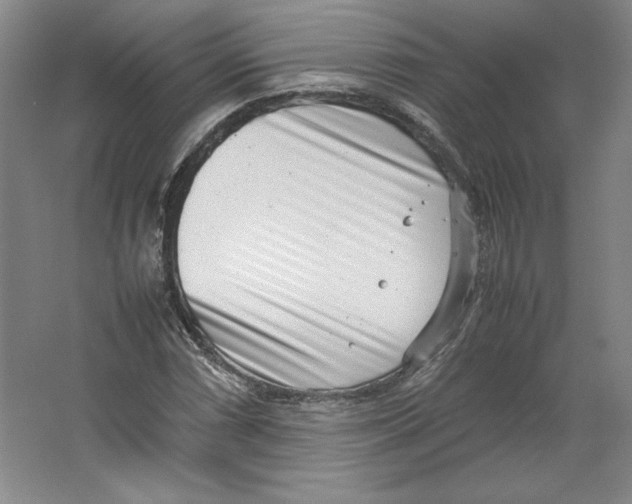 X0000062131066200512301455