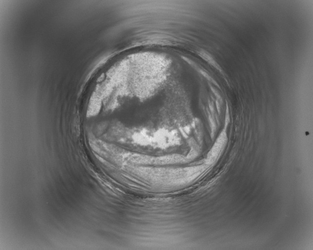 X0000062131067200512301455