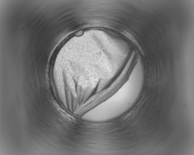 X0000062131068200512301455