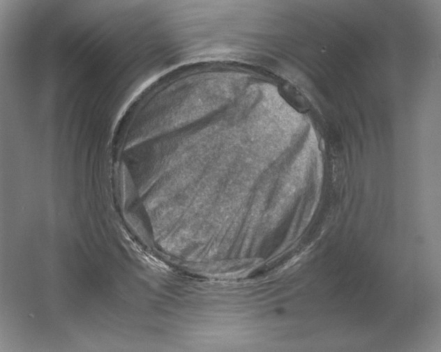 X0000062131069200512301455