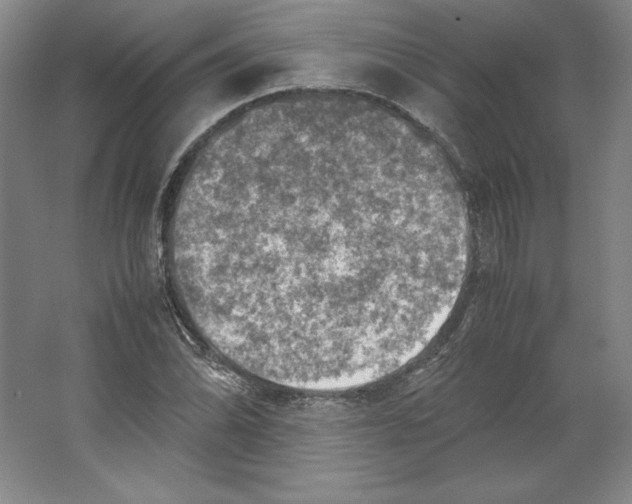 X0000062131070200512301455