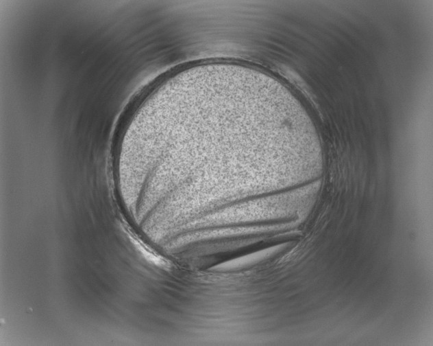 X0000062131072200512301455