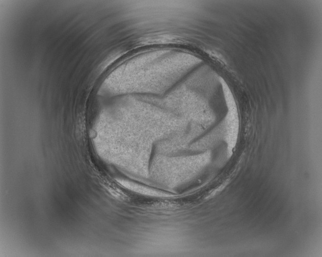 X0000062131073200512301455