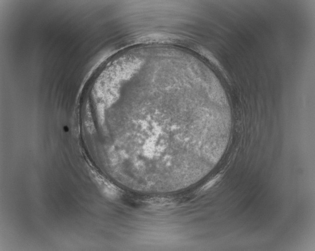 X0000062131075200512301455