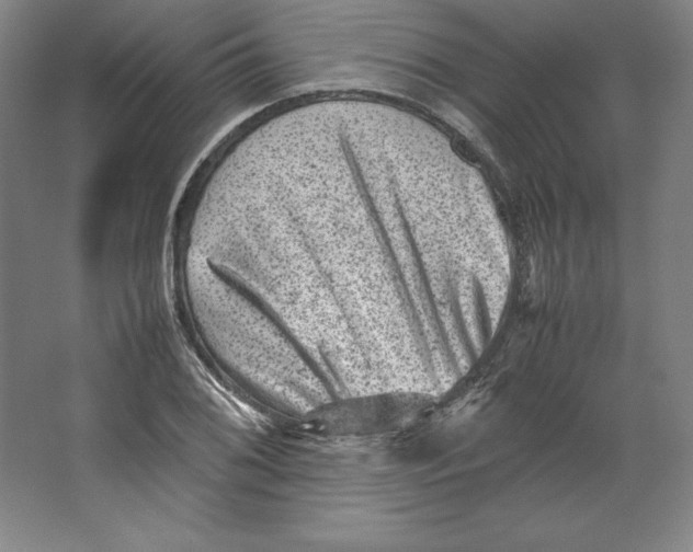 X0000062131076200512301455