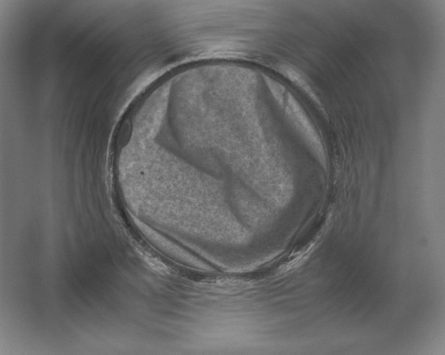 X0000062131077200512301455